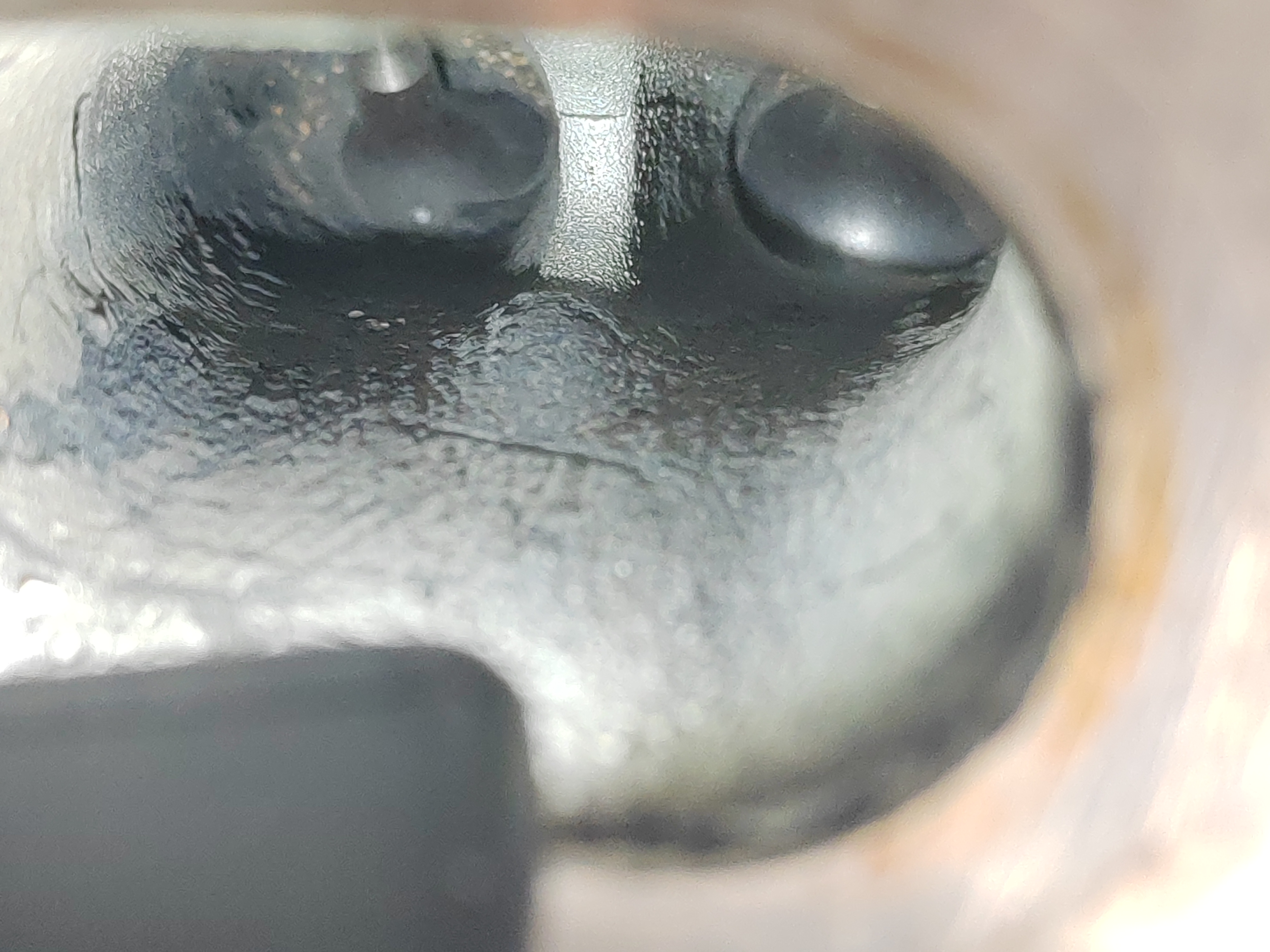 Dióhéjas szívósor- és szeleptisztítás – kép 6